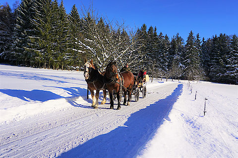 Winterurlaub mit Kutschfahrt im Bayerischen Wald